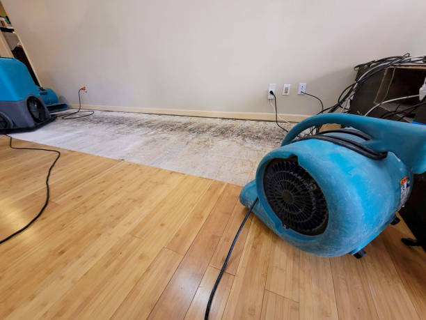 Professional Water Damage Repair technician working in Newbury, OH